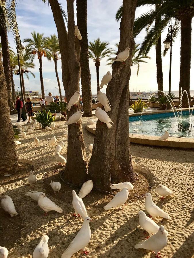 Cometa Center Benidorm Zewnętrze zdjęcie